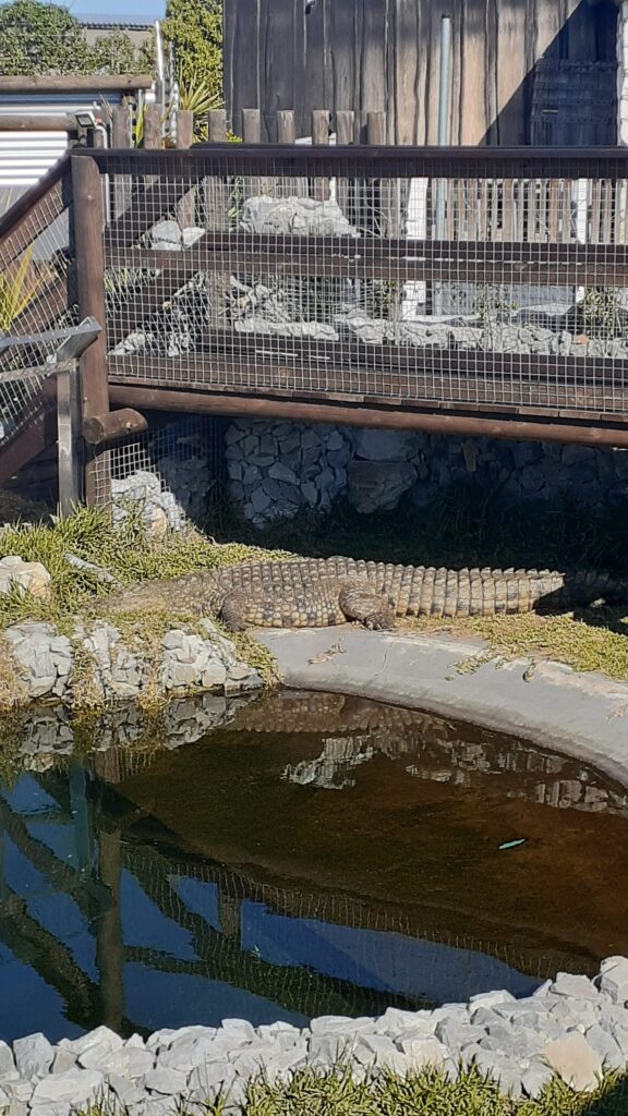 Afrikanos Crocodile Farm